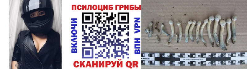 Псилоцибиновые грибы MAGIC MUSHROOMS  Новокузнецк 